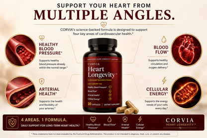 Four areas of cardiovascular support from CORVIA